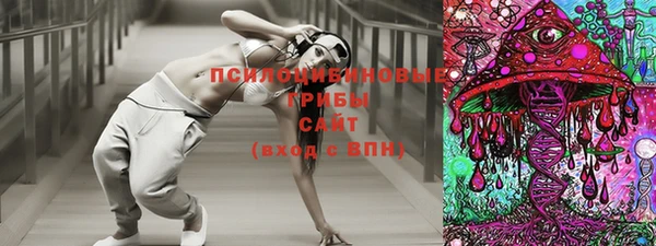 гидропоника Коряжма