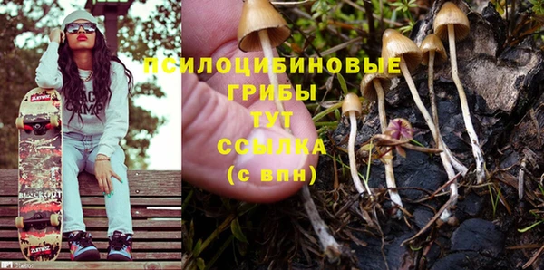 jwh Краснослободск