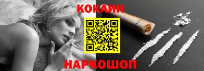 крисы Камышлов