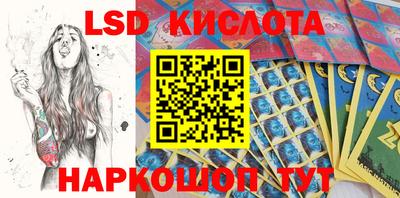 крисы Камышлов