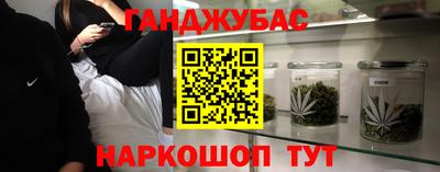 крисы Камышлов