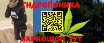 кокс Канаш