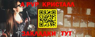 крисы Камышлов