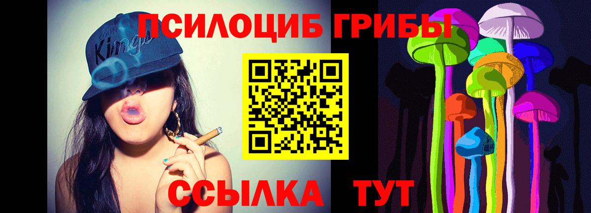 Псилоцибиновые грибы GOLDEN TEACHER  Вход с VPN  Миллерово 